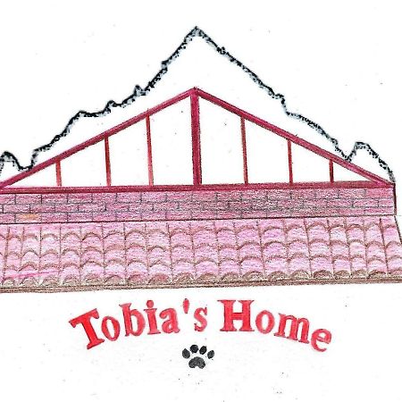 Roddino Tobia'S Home מראה חיצוני תמונה